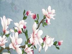 2025年屬兔犯太歲 2025年屬猴與蛇年犯太歲