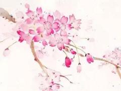 合適拆房日查詢 2025年5月最佳哪天