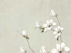 2025六月開市黃道吉日 2025年6月25號是星期六股市開市嗎