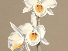 2025農(nóng)歷結(jié)婚吉日六月 2025年農(nóng)歷六月份結(jié)婚的黃道吉日