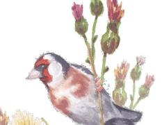 2025陽歷六月搬家吉日 2025年陽歷6月搬家的黃道吉日