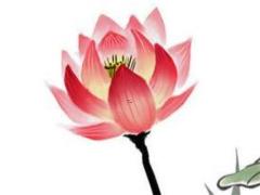 老黃歷吉日查詢 2025年5月祭祀最佳選擇