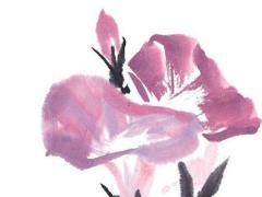 2002年屬馬的女孩的桃花運,2002年屬馬女孩的運程