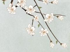 2025六月黃道吉日理發 2025年六月宜理發的日子