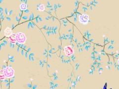 80年屬猴的2025年多大了 80年屬猴2025年2月