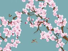 屬兔男孩本命年可以戴什么首飾,屬兔男本命佛是什么佛