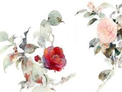 適合搬家的吉日查詢 2025年5月哪日最佳