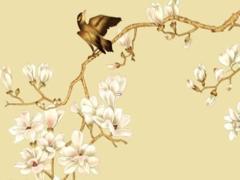 2025年屬兔人的運勢怎么樣 屬兔和屬狗的人合作