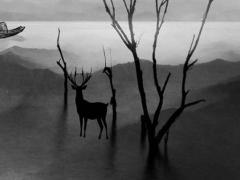 2025年六月鼠寶寶吉日 2025年六月屬什么