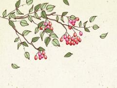 20256月份開業(yè)吉日子 20256月適合開業(yè)的日子