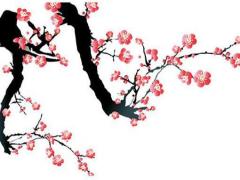 適合裝修的吉日選擇 2025年5月哪天好