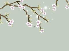 六三年屬兔人今年財運好不好?,六三年屬兔人今年財運好不好呀