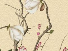 本命年兔適合戴什么吊墜男士,屬兔本命年穿什么顏色