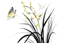 2025年6月份上墳吉日 2025年6月份上墳黃道吉日有哪些