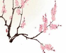 25年狗生肖運勢及運程詳解 25年狗運勢天干地支