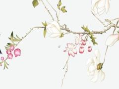 本命年送什么禮品好,本命年送什么禮物好