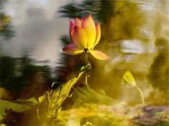 2025年6月豬上圈吉日 2025年6月8日黃歷