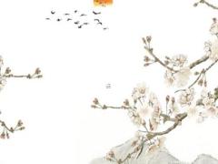 送男朋友本命年什么禮物好,送男朋友本命年的禮物