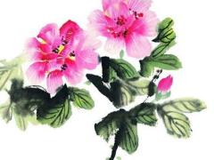 屬狗的2025年運勢和財運怎么樣 屬狗2025高考順利嗎