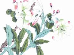 丙戌日女命晚年生活,丙戌日出生女命