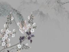 2003年屬羊的2025年運勢怎么樣 屬虎2025年注意事項