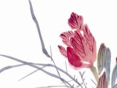 本命年屬兔三合是什么生肖,屬兔本命年好不好