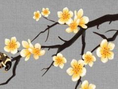 66年屬馬男2025年運(yùn)勢 66年馬男找老婆