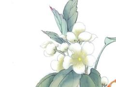 87年屬兔男本命年能穿紅色嗎,87年屬兔男本命年能穿紅色嗎為什么