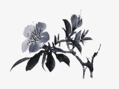 哪日裝修吉利 2025年5月最好日子推薦