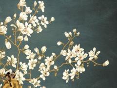 求醫吉日查詢2025年6月吉日 2025年6月求醫日黃道吉日