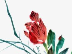 2025年六月做牛圈吉日 2025年六月作品