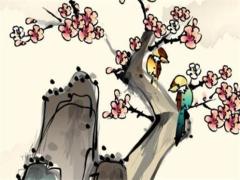 屬兔的本命年戴蜜蠟手串好嗎?,屬兔的本命年戴什么好