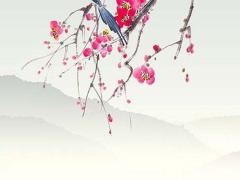 2025年蛇年和什么屬相相沖 2025年蛇年和豬相沖嗎