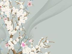 1986年屬虎男2025全年運勢 2025年運勢測試