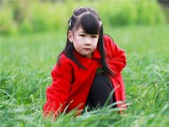 中年女人夢見烏龜有什么預兆