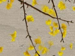 2024年本命年屬什么生肖,2024年本命年可以結婚嗎