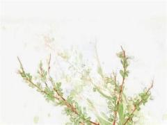 90年屬馬2025年每月運(yùn)勢 66年馬運(yùn)勢