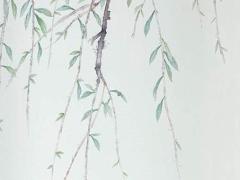 屬牛什么顏色是吉祥色系,屬牛的顏色最吉利