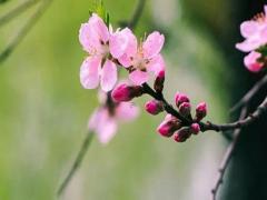 農歷6月搬家吉日2025最佳搬家時間