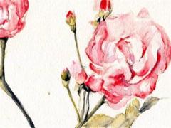 2025年6月找工作吉日 2025年6月出門找工作吉日查詢