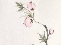 2025年5月搬家哪天好 最佳吉利日