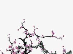 2025年5月開業吉日哪日適合選擇最佳日子