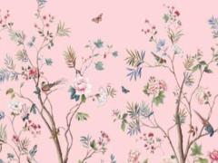 2025年是金年嗎 2025年是金年還是土年