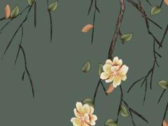 兔本命年要佩戴什么金飾品,兔本命年戴什么轉運