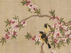 42歲狗2025年運勢 42歲生肖狗運勢走向