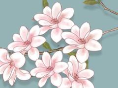 適合男孩出生的2025年農歷五月吉日查詢哪日好