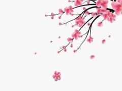 2025生肖鼠全年運(yùn)勢(shì) 2025生肖鼠幸運(yùn)顏色