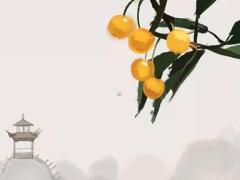 2025六月虎寶寶吉日 虎寶寶六月吉日吉時