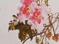 屬牛的2025年婚姻運勢 屬牛的2025年婚姻如何