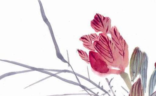 爸媽本命年應(yīng)該送什么,爸媽本命年應(yīng)該送什么好東西